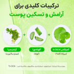 سرم تسکین‌دهنده آلوئه و PDRN اکوال بری | EQQUAL BERRY  Aloe PDRN Calming Serum