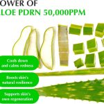 سرم تسکین‌دهنده آلوئه و PDRN اکوال بری | EQQUAL BERRY  Aloe PDRN Calming Serum