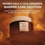 کرم پروبیو سیکا سنتلا اسکین 1004 مدل Madagascar Centella Probio-Cica Enrich Cream حجم 50 میل
